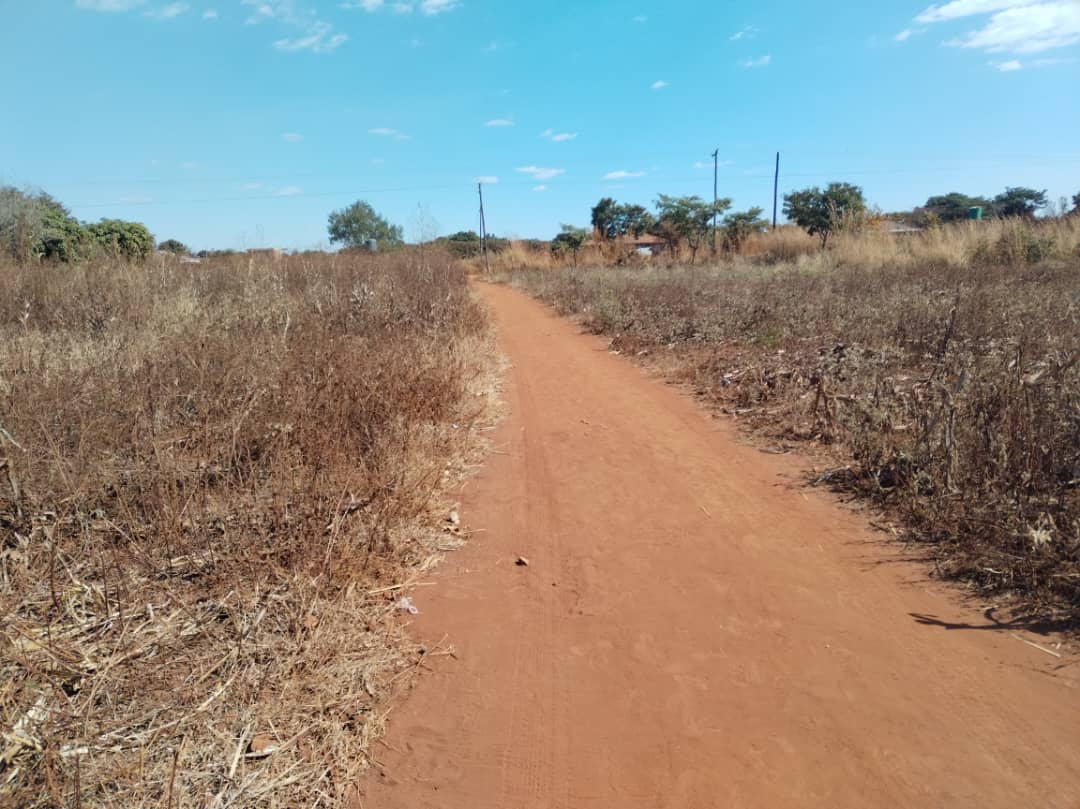 Commercial Complex - 3